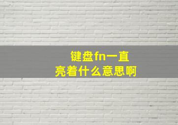 键盘fn一直亮着什么意思啊