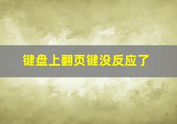 键盘上翻页键没反应了