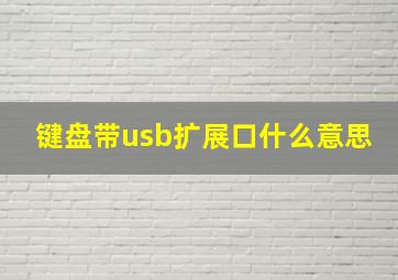 键盘带usb扩展口什么意思