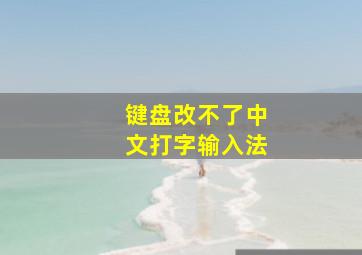 键盘改不了中文打字输入法