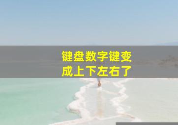 键盘数字键变成上下左右了