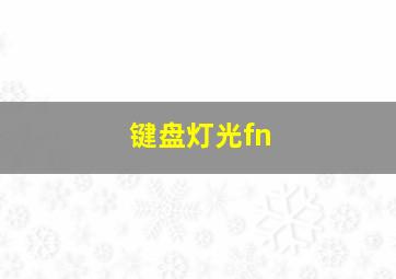 键盘灯光fn