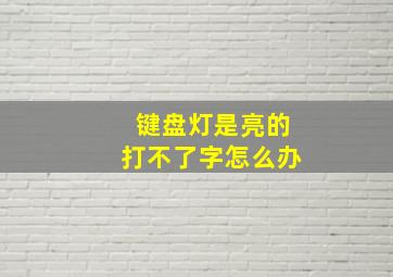 键盘灯是亮的打不了字怎么办