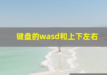 键盘的wasd和上下左右