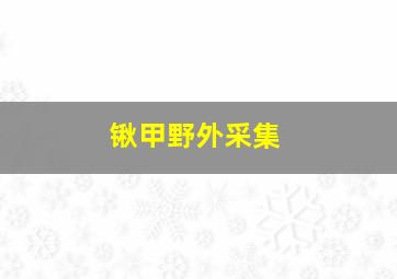 锹甲野外采集