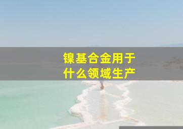 镍基合金用于什么领域生产