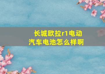 长城欧拉r1电动汽车电池怎么样啊