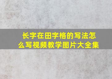 长字在田字格的写法怎么写视频教学图片大全集