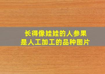 长得像娃娃的人参果是人工加工的品种图片