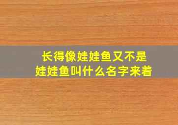 长得像娃娃鱼又不是娃娃鱼叫什么名字来着