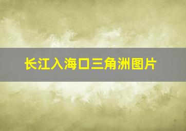 长江入海口三角洲图片