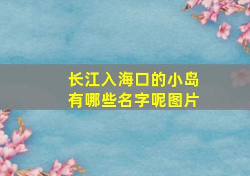 长江入海口的小岛有哪些名字呢图片