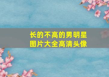 长的不高的男明星图片大全高清头像