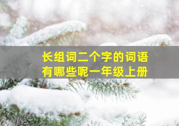 长组词二个字的词语有哪些呢一年级上册