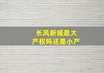 长风新城是大产权吗还是小产