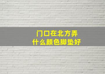 门口在北方弄什么颜色脚垫好