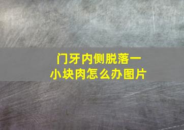 门牙内侧脱落一小块肉怎么办图片