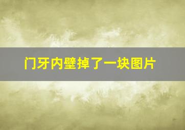 门牙内壁掉了一块图片