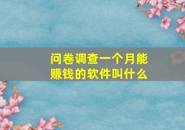 问卷调查一个月能赚钱的软件叫什么