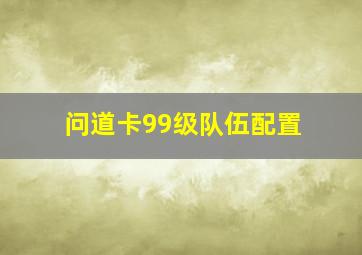 问道卡99级队伍配置