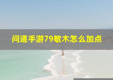 问道手游79敏木怎么加点