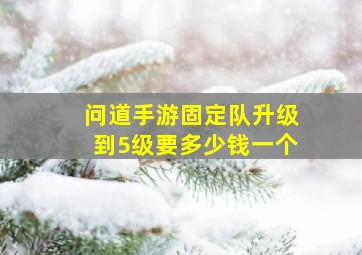 问道手游固定队升级到5级要多少钱一个