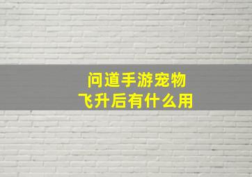 问道手游宠物飞升后有什么用