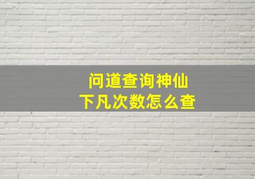 问道查询神仙下凡次数怎么查