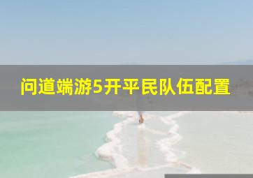 问道端游5开平民队伍配置