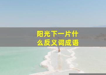 阳光下一片什么反义词成语