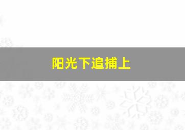 阳光下追捕上