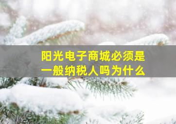 阳光电子商城必须是一般纳税人吗为什么