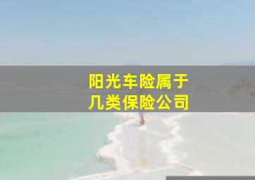 阳光车险属于几类保险公司