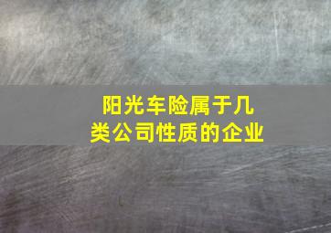 阳光车险属于几类公司性质的企业