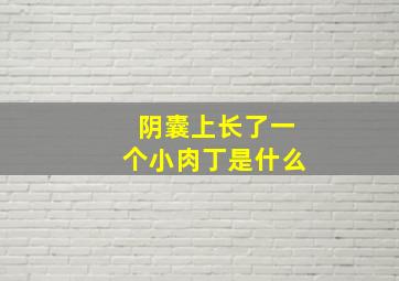 阴囊上长了一个小肉丁是什么