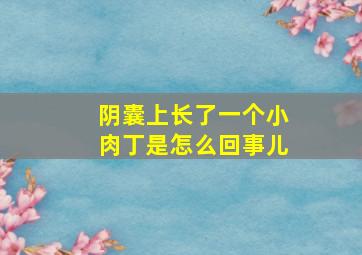 阴囊上长了一个小肉丁是怎么回事儿