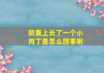 阴囊上长了一个小肉丁是怎么回事啊