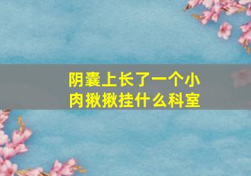 阴囊上长了一个小肉揪揪挂什么科室