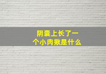 阴囊上长了一个小肉揪是什么