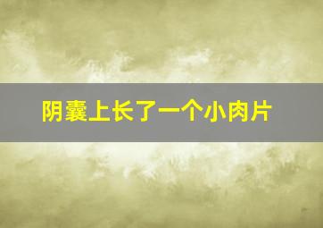 阴囊上长了一个小肉片