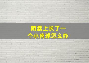 阴囊上长了一个小肉球怎么办