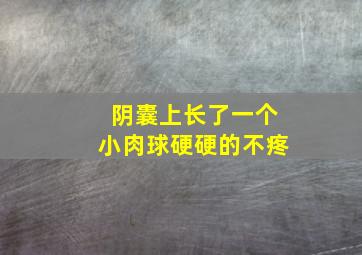 阴囊上长了一个小肉球硬硬的不疼