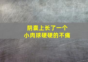 阴囊上长了一个小肉球硬硬的不痛