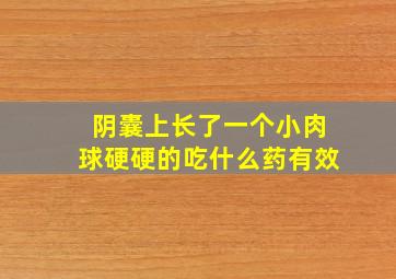 阴囊上长了一个小肉球硬硬的吃什么药有效