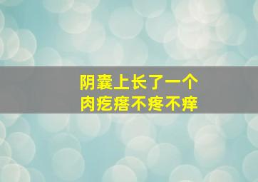 阴囊上长了一个肉疙瘩不疼不痒