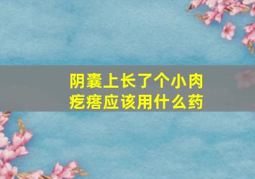 阴囊上长了个小肉疙瘩应该用什么药