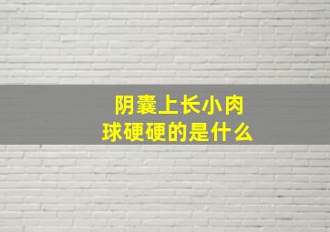 阴囊上长小肉球硬硬的是什么