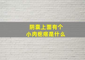 阴囊上面有个小肉疙瘩是什么