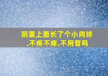 阴囊上面长了个小肉球,不疼不痒,不用管吗