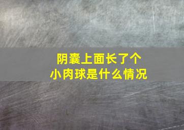 阴囊上面长了个小肉球是什么情况